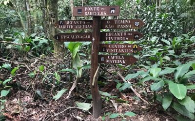 FLORESTA DA TIJUCA – A NATUREZA AINDA É O MELHOR